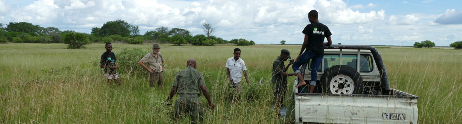 Banhine wetland